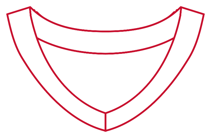 Basketball Collar